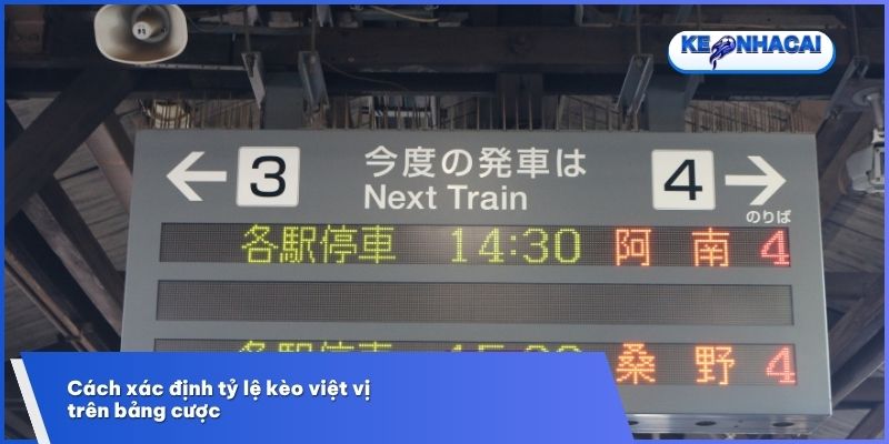 Loại kèo thường xuất hiện phổ biến ở dạng Tài Xỉu