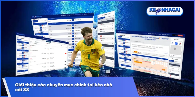 Hệ thống chuyên mục đa dạng với đầy đủ lịch thi đấu, kết quả, livescore và tin tức bóng đá được cập nhật liên tục 24/7