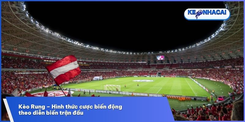 Kèo Rung - Cá Cược Bóng Đá Theo Nhịp Độ Trận Đấu 1 Khái quát về kèo rung trong cá cược bóng đá