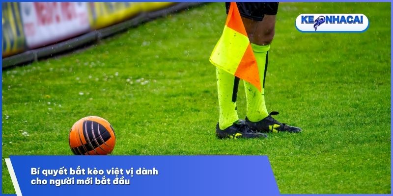 Đa dạng biến thể nâng cao trải nghiệm của người chơi đam mê