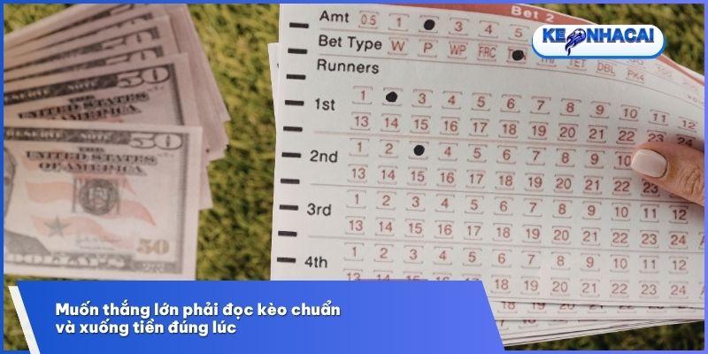 Kèo Đồng Nửa - Thế Trận Cân Bằng Không Quá Chênh Lệch 3 Muốn thắng lớn phải đọc kèo chuẩn và xuống tiền đúng lúc