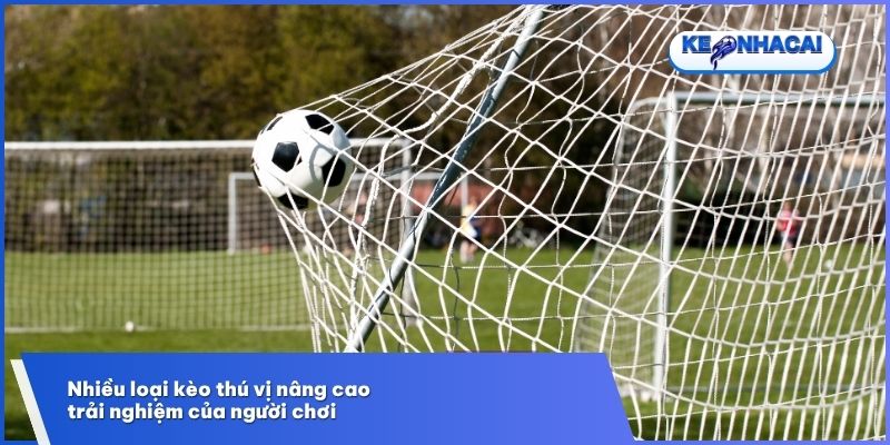 Nhiều loại kèo thú vị nâng cao trải nghiệm của người chơi