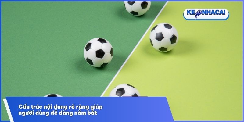 Miễn Trừ Trách Nhiệm - Quy Định Tối Ưu Quyền Lợi Đôi Bên 2 Quy định được sắp xếp với bố cục dễ thấy tại trang web